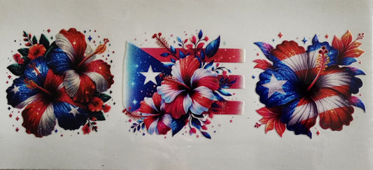 Puerto Rico - Amapola #4