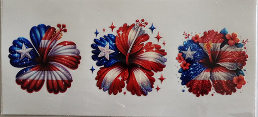 Puerto Rico - Amapola #3